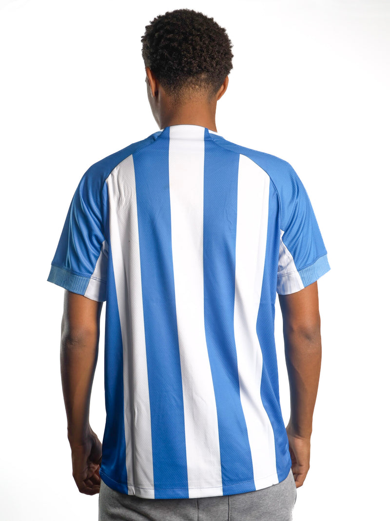 Camiseta Paysandu Jogo I s/n - 24/25