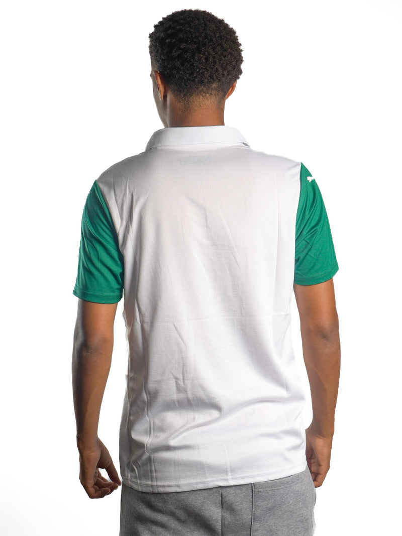 Camiseta Palmeiras Jogo II s/n - 25/26