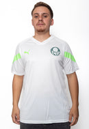 Camiseta Palmeiras Treino