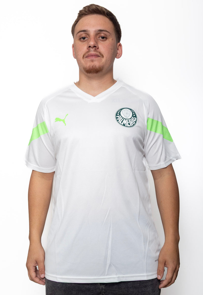 Camiseta Palmeiras Treino